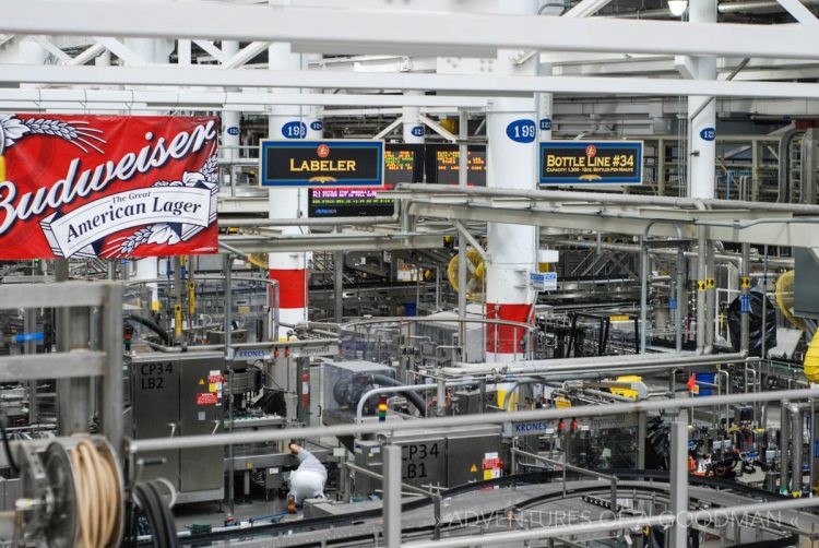 The bottling room of the Budweiser Brewery in St. Louis, MO