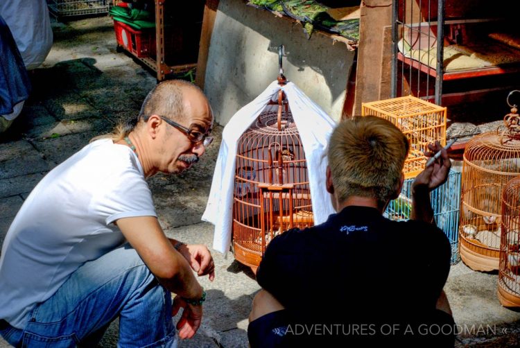 Two locals discuss their bird at the Yuen Po Bird Garden in Kowloon, Hong Kong