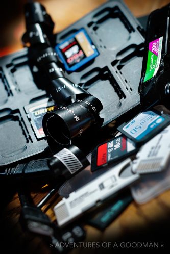 Memory cards and the inside of a roll of 110mm film