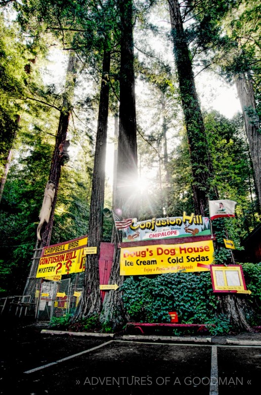 Confusion Hill, alongside Highway 101 in Northern California