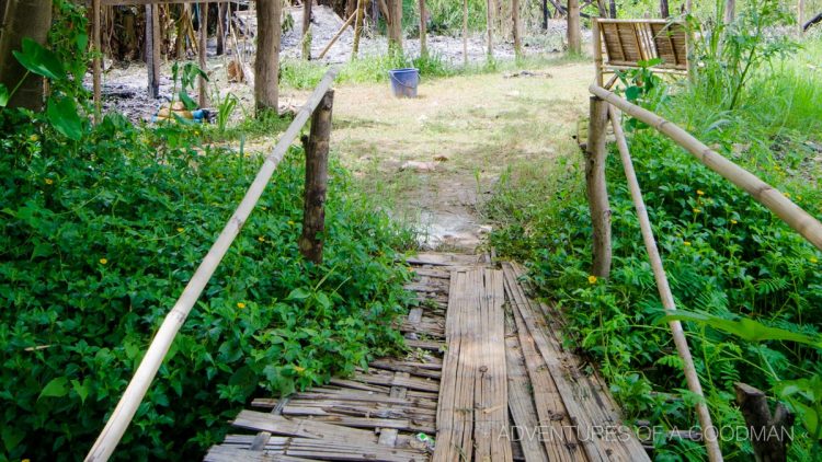 A daytime view of the bamboo bridge that my foot fell through
