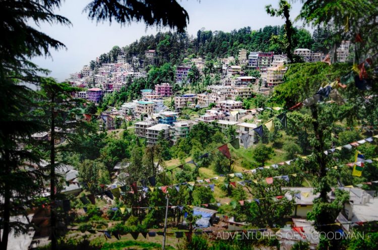 My favorite view of the McLeod Ganj skyline, taken on the road to Bhagsu with Tibetan prayer flags flanking the city