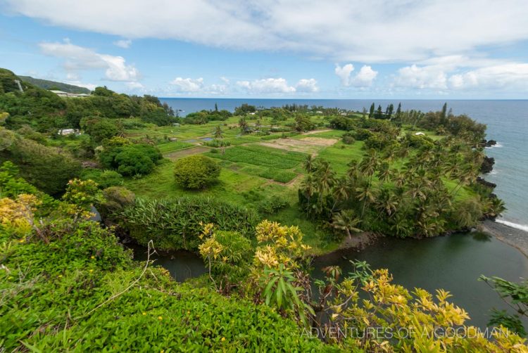 One of the countless amazing views you will see when driving along the Maui Coast in Hawaii