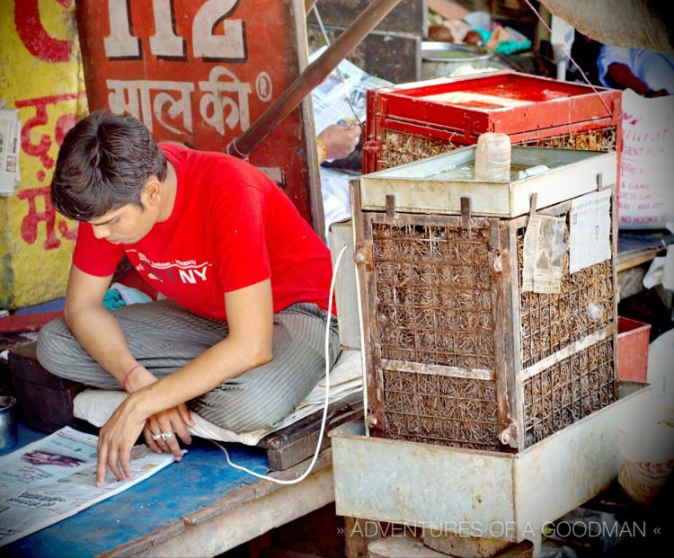 A shopkeeper using an air cooler to keep cool at an outdoor market in Fatehpur Sikri, India