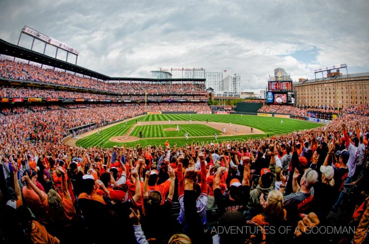 The crowd at Camden Yards goes crazy cheering after the last out of the 2012 regular season home game