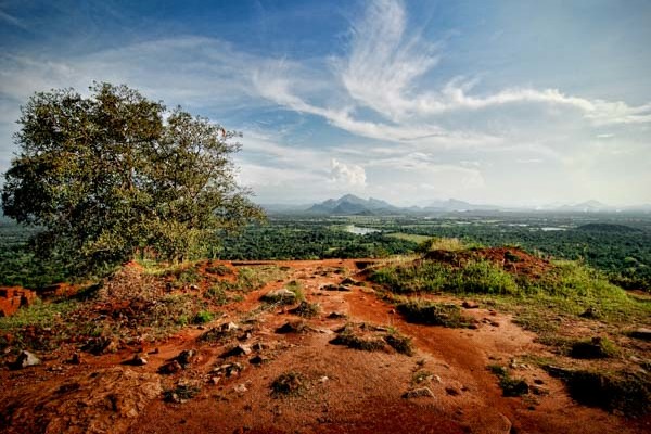 The Sri Lankan countryside, as seen from atop Sigiriya