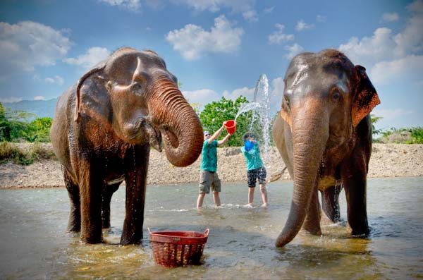 Elephant Nature Park in Chiang Mai, Thailand