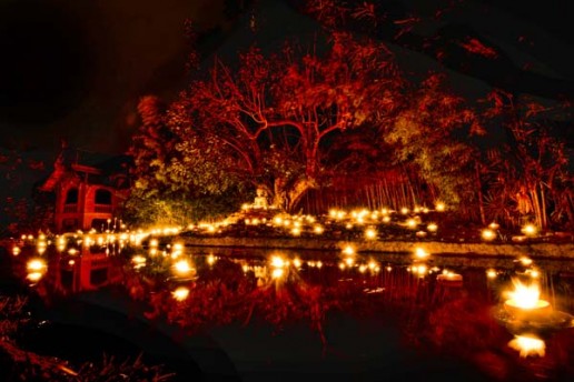 Candles and a Buddha statue reflect in the pond outside Wat Pan Tao in Chiang Mai