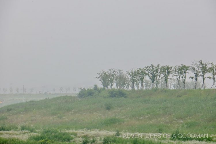 Gray cloudy skies can make an ordinary photograph mysterious and interesting