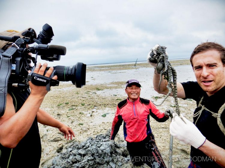 The Nakji Terminator and Jesse being filmed for Get Lost in Korea