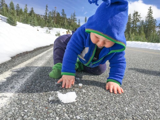 My son, Bodhi, plays with snow for the first time on a hike up Mt. Shasta