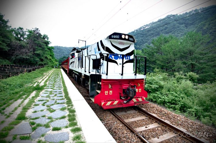 The V-Train arrives at Bedong Station moments before I boarded