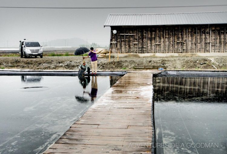 Kang Jin Seok, the cameraman, needs an umbrella held over his head while filming a rainy scene in the Jeung-Do salt flats