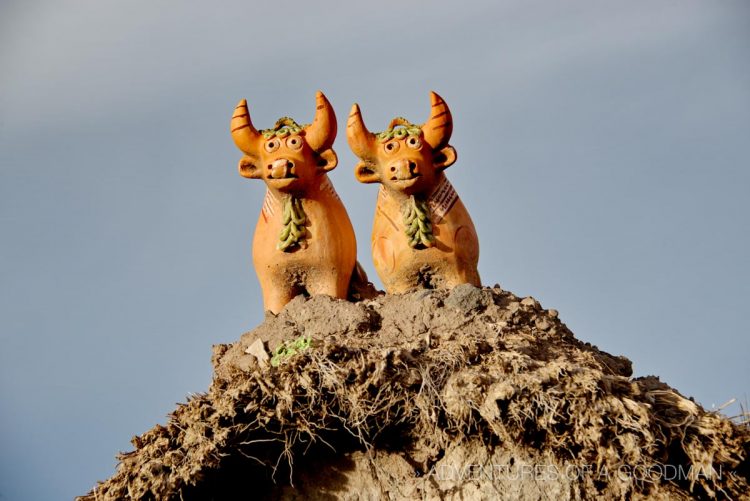 Many traditional homes have bull statues on their roofs for good luck.