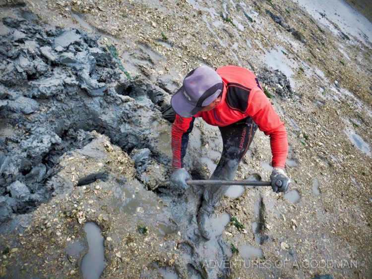 It was totally worth digging this hole, as the Nakji Terminator caught an huge octopus that would probably net him $20.