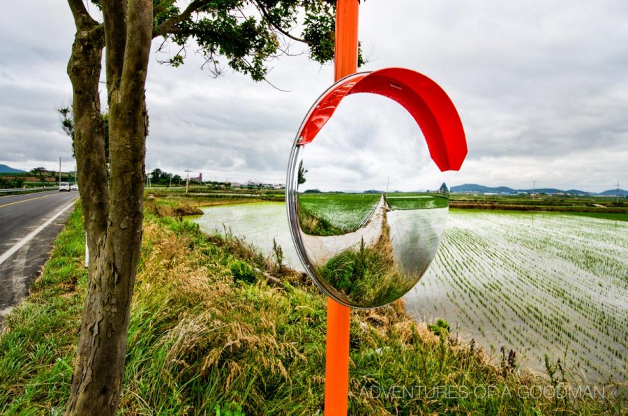 The main road in and out of town on Aphae Island is surrounded by nature and rice fields