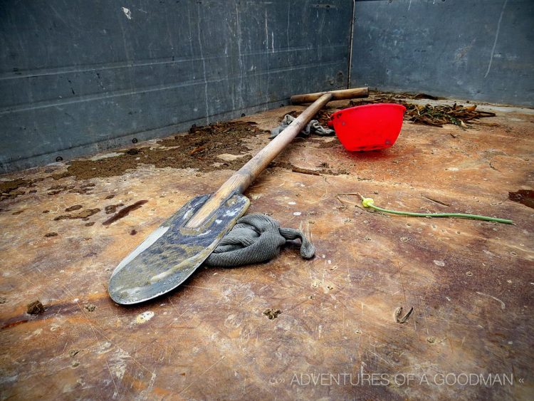 The shovel I used to catch nakji