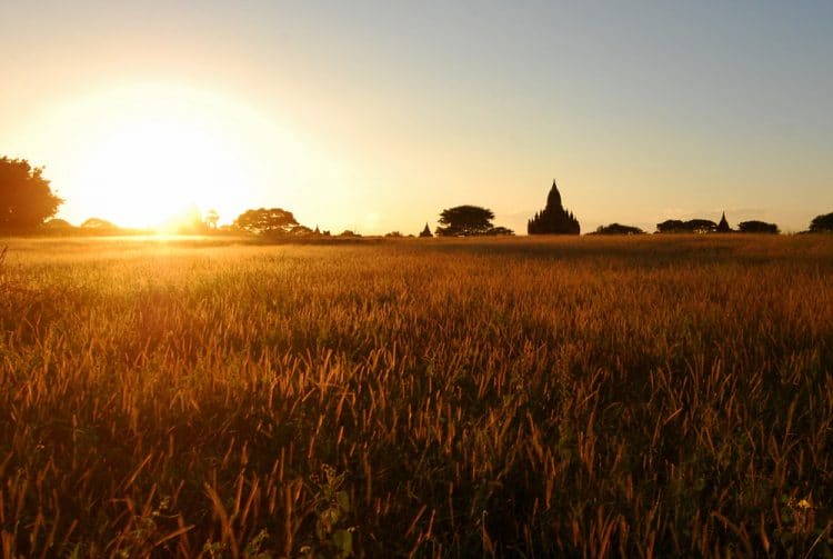 We were peddling our bikes as fast as possible and pulled down a dirt lane to catch this temple in a field in the setting sun.