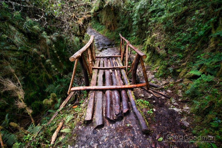 Sometimes, the Inca Trail passes over chasms and needs a bridge.
