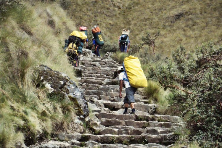 Meanwhile, most trekkers were huffing and puffing behind these chuskies on Dead Woman's Pass.