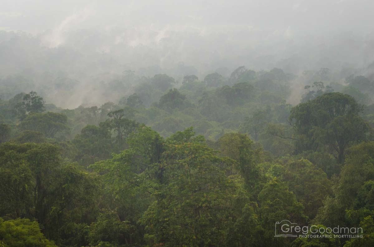 The atmospheric Khao Yai National Park in Thailand