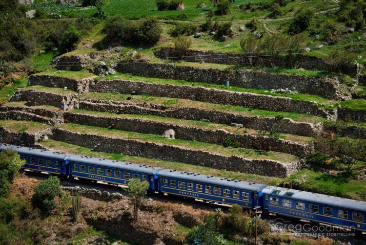 Your guide, Freddy, jokes that PeruRail passengers are cheaters: making the 4 day journey to Machu Picchu in just 1.5 hours.