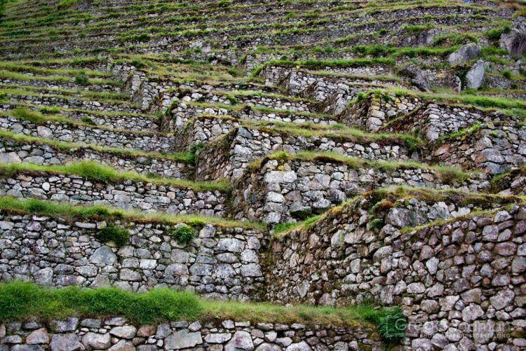 Don’t forget to look up on the way out of the Intipata Ruins.