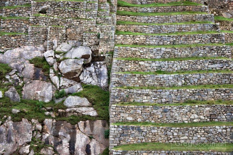 I love all the intersecting lines in Machu Picchu.
