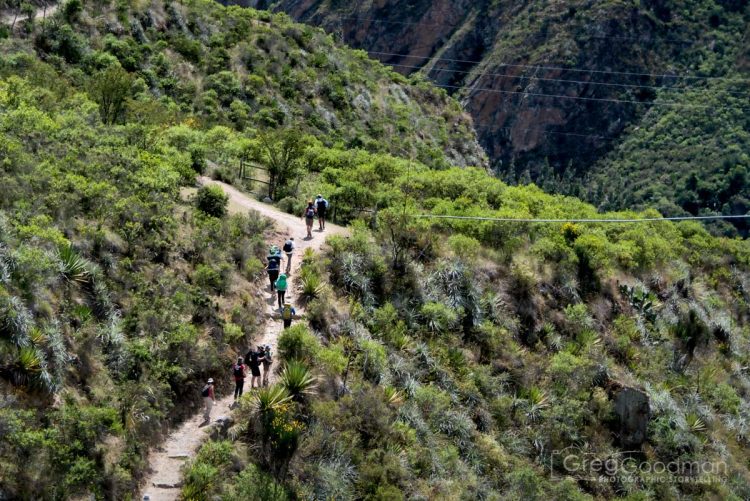 This is how you will spend much of your time on the Inca Trail.. hiking through incredible greenery along a narrow path.