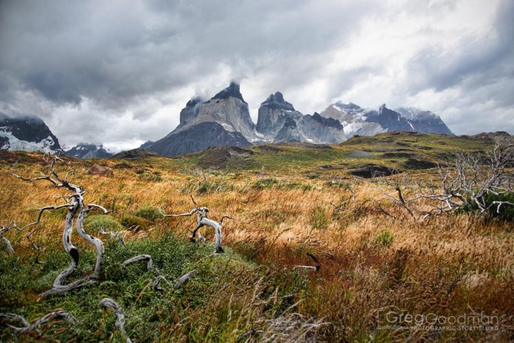 These are the Torres del Paine.