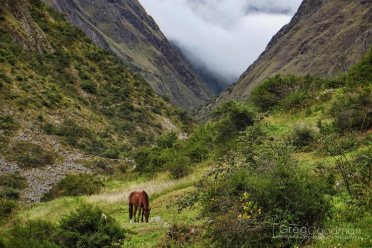 This is the view from your campsite in Wayllabamba on the first night.