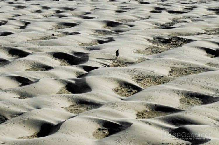 The sand dunes of Yaquina Bay, Oregon.