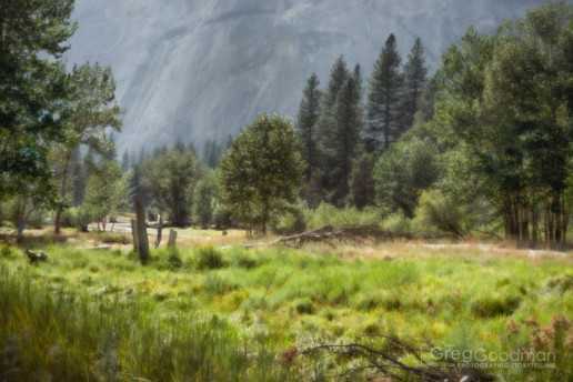 The western part of Yosemite Valley is full of wide-open fields, trees and granite