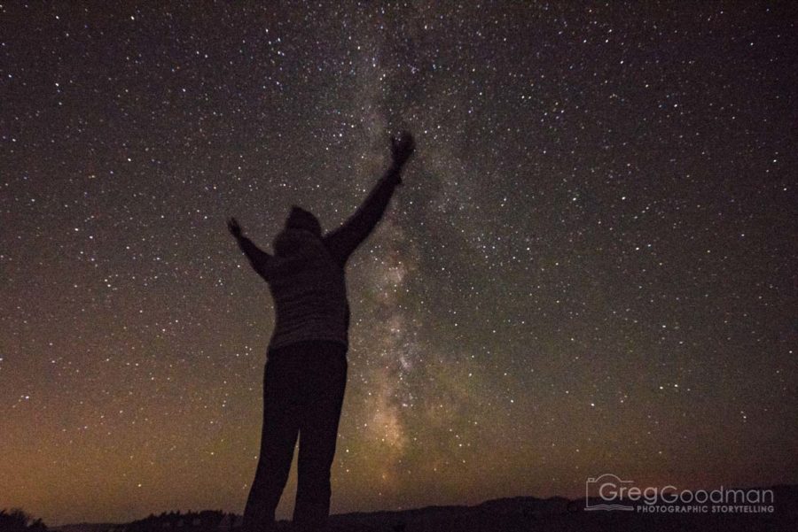 Carrie looks towards the heavens in Armstrong Woods, California