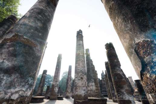 Sunrise behind the columns of Wat Mahathat in Sukhothai
