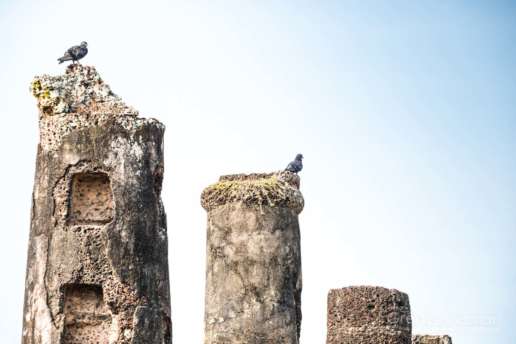 Birds love making nests atop the ancient columns in Sukhothai