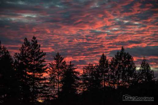 The view off of the deck of our new home in Santa Cruz, CA