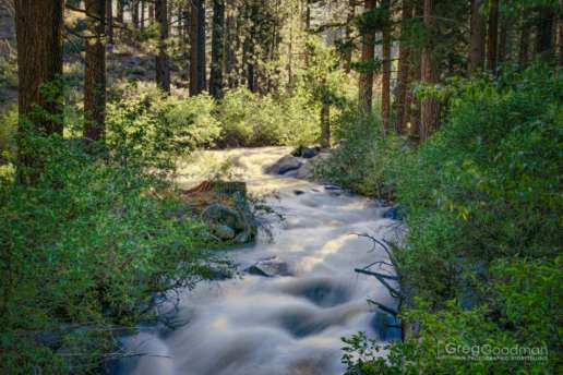 A stream near Grover Hot Springs in Northern California