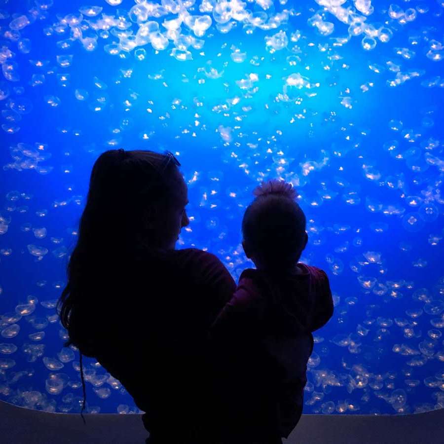 A woman and her child enjoy the view of the jellyfish at the Monterey Bay Aquarium