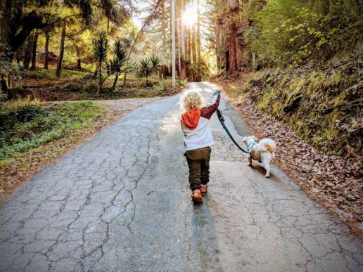 Bodhi and Falcor walk down the street next to our home