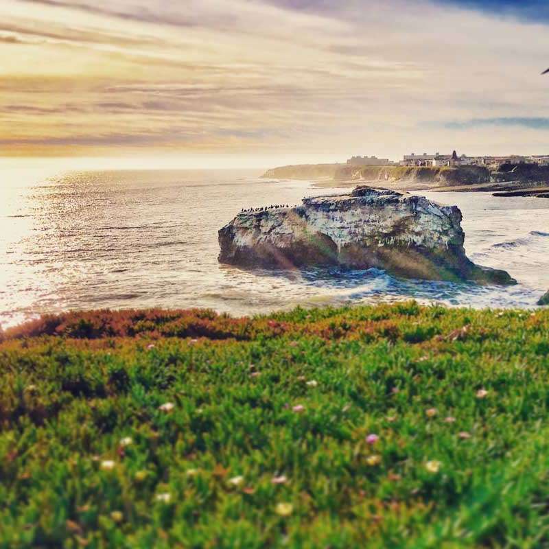 Natural Bridges State Park in Santa Cruz, CA