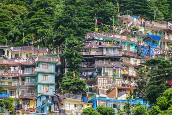 A wall of homes in the McLeod Ganj skyline