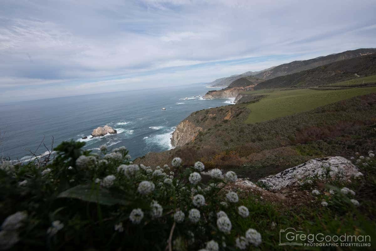 Big Sur Highway 1 California Pacific Coast Greg Goodman Photography-07