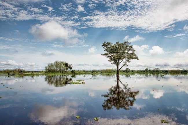 Amazon River Reflections near Iquitos, Peru