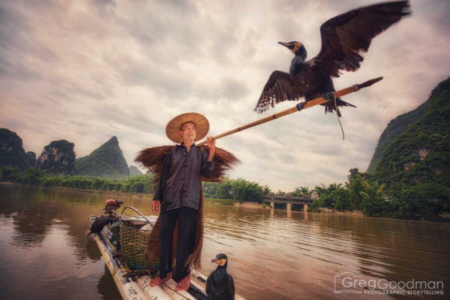 Photography of cormorant fisherman in yangshou guangxi china