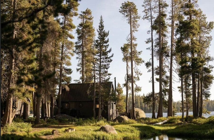 A unique cabin stay set among trees at golden hour